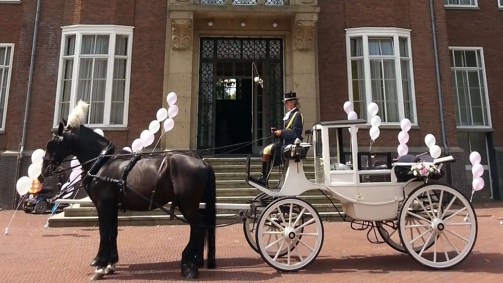 Witte trouwkoets met twee zwarte paarden voor een historisch stadhuis
