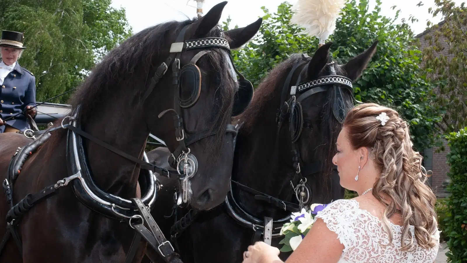 Bruid aait twee zwarte paarden met witte pluimen