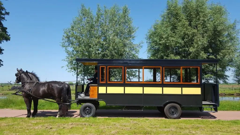 Geel-zwarte paardentram met zwart paard langs weilanden