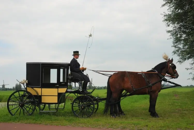 Kleine blauwe trouwcoupé met crème bekleding langs een graspad