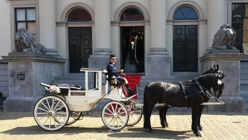 Witte trouwkoets met twee zwarte paarden voor een stadhuis