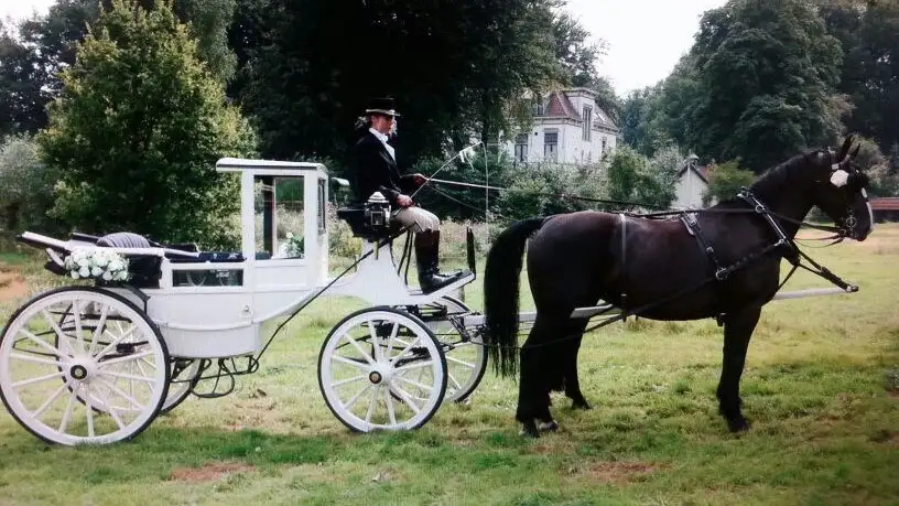 Witte trouwkoets op een grindpad in een park