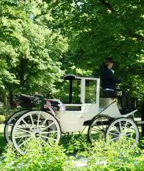 Witte trouwkoets met zwarte paarden door een groen park